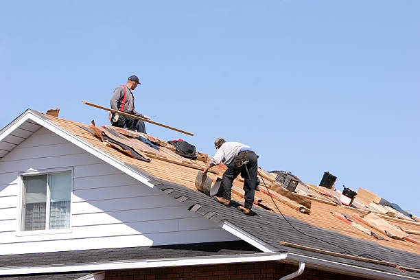 Best Roof Insulation Installation  in Eagle, CO